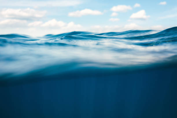 Link to The Only Way to Get Through Uncertainty—A Hard Lesson from the Ocean